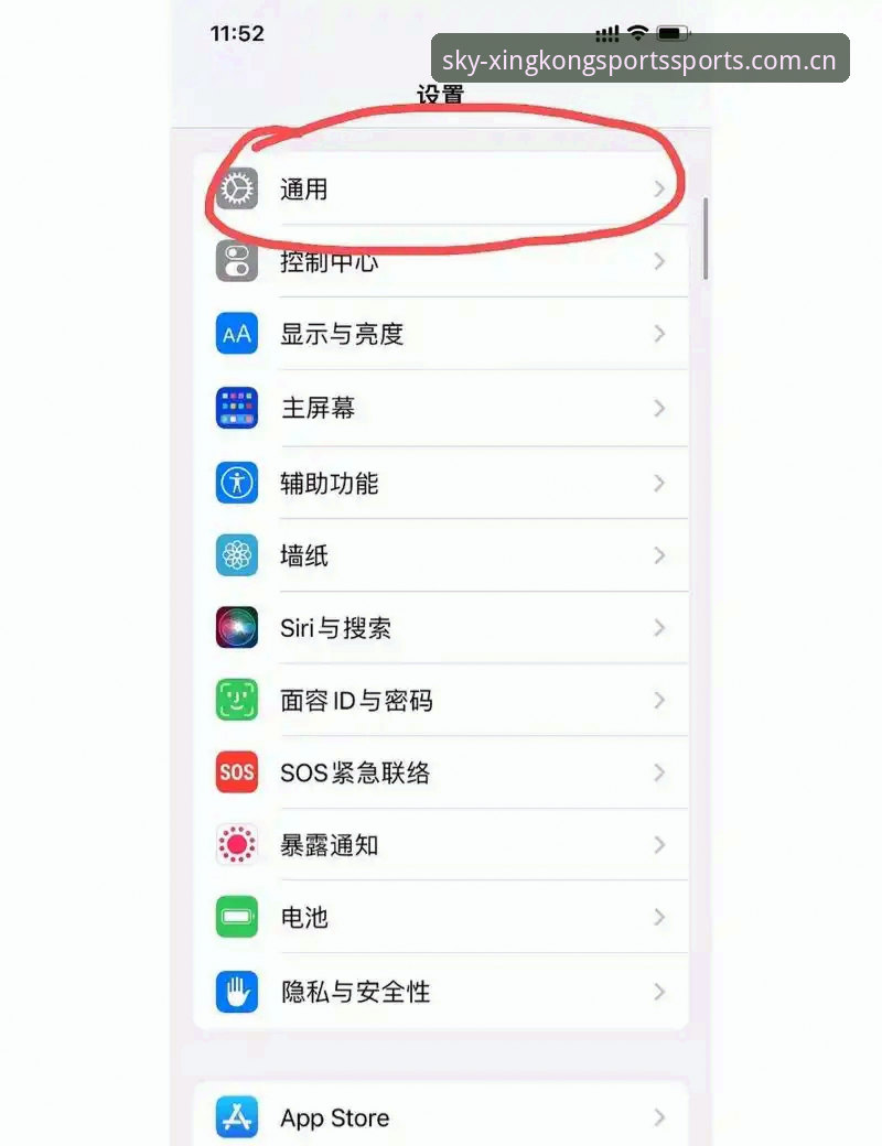 最新星空体育iOS版安装与数据迁移教程：解决闪退与兼容问题